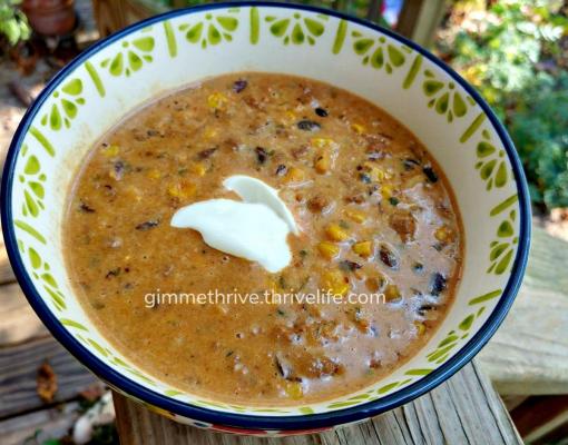 "Gimme Thrive" Cheesy Enchilada Chili