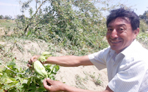 Peru